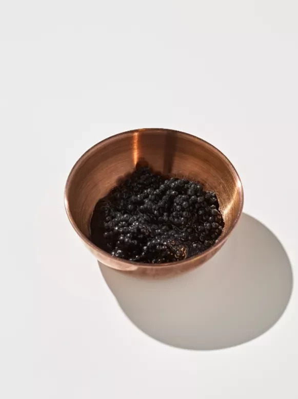 Икра палтуса