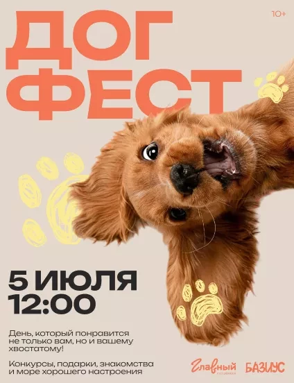 Догфест