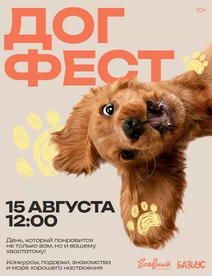 Догфест