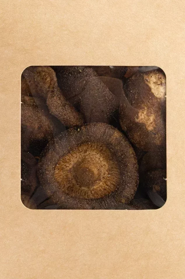 Грибы шиитаке