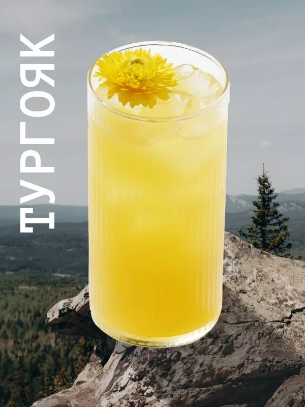 Тургояк