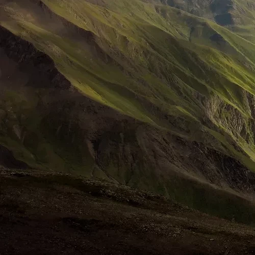 ЧОХ ЧОХ