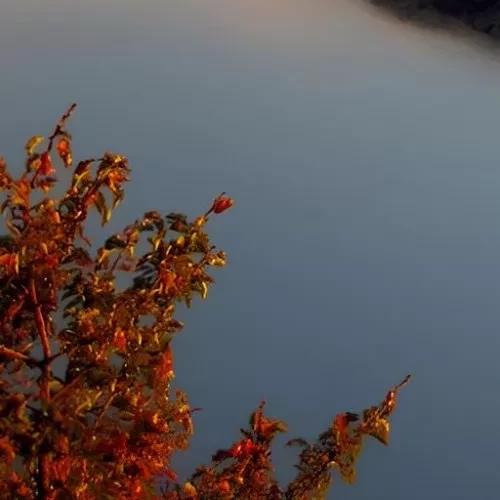 ПРИВЕТ ЛИВАН!